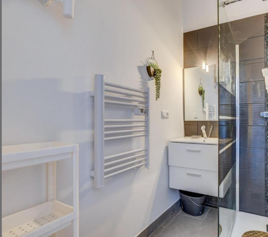 Joli Studio Maisonnette Avec Cachet Τουλούζη Εξωτερικό φωτογραφία