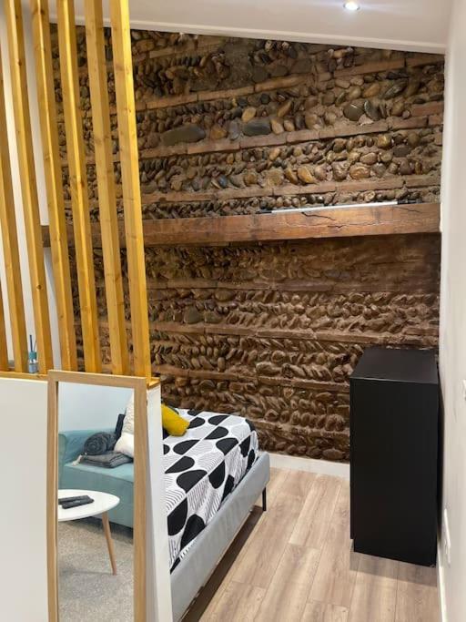 Joli Studio Maisonnette Avec Cachet Τουλούζη Εξωτερικό φωτογραφία