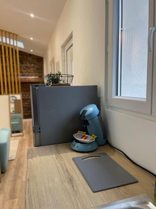 Joli Studio Maisonnette Avec Cachet Τουλούζη Εξωτερικό φωτογραφία